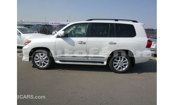 Buy Import Toyota Land Cruiser White Car in Import - Dubai in Marquesas Buy Import Toyota Land Cruiser White Car in Import - Dubai in Marquesas