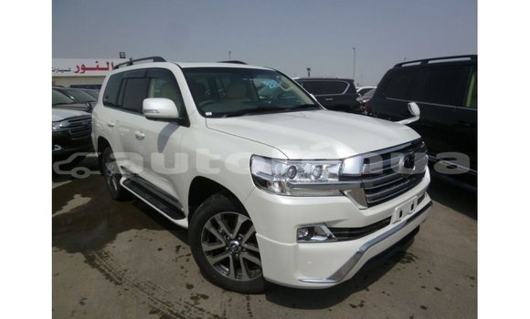 Acheter Import Voiture Toyota Land Cruiser Blanc à Import - Dubai, Marquesas