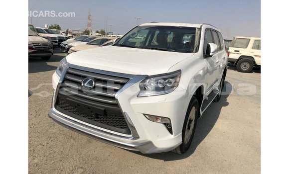 Acheter Import Voiture Lexus GX Blanc à Import - Dubai, Marquesas