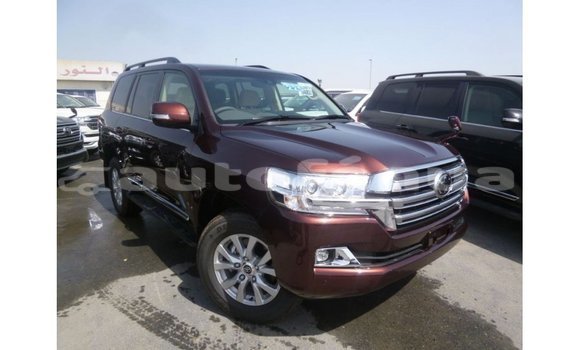 Acheter Import Voiture Toyota Land Cruiser Autre à Import - Dubai, Marquesas