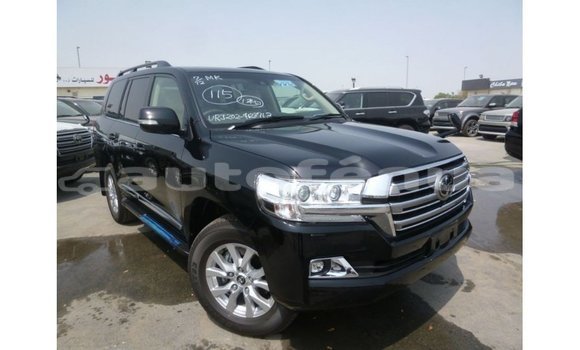 Acheter Import Voiture Toyota Land Cruiser Noir à Import - Dubai, Marquesas
