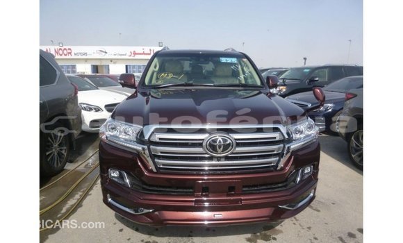 Buy Import Toyota Land Cruiser Other Car in Import - Dubai in Marquesas Buy Import Toyota Land Cruiser Other Car in Import - Dubai in Marquesas