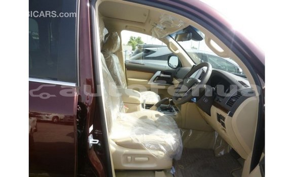 Buy Import Toyota Land Cruiser Other Car in Import - Dubai in Marquesas Buy Import Toyota Land Cruiser Other Car in Import - Dubai in Marquesas