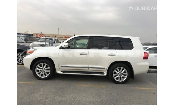 Buy Import Toyota Land Cruiser White Car in Import - Dubai in Marquesas Buy Import Toyota Land Cruiser White Car in Import - Dubai in Marquesas