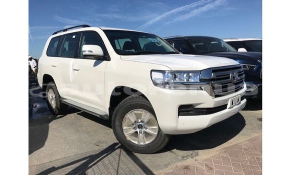 Acheter Import Voiture Toyota Land Cruiser Blanc à Import - Dubai, Marquesas