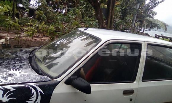 Buy Used Peugeot 205 Other Car in Kaukura in Tuamotu
