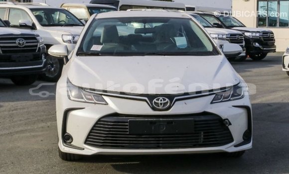 Buy Import Toyota Corolla White Car in Import - Dubai in Marquesas Buy Import Toyota Corolla White Car in Import - Dubai in Marquesas