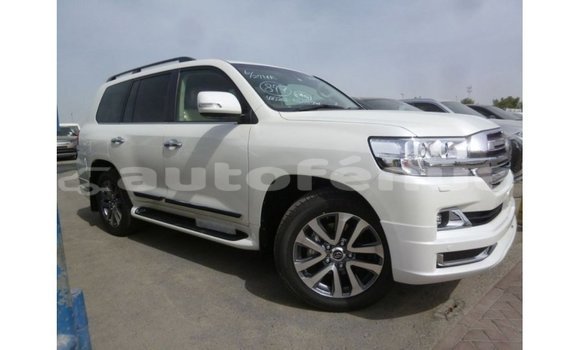Acheter Import Voiture Toyota Land Cruiser Blanc à Import - Dubai, Marquesas