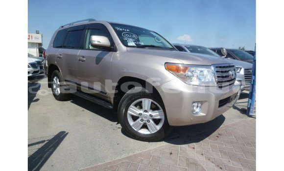 Acheter Import Voiture Toyota Land Cruiser Autre à Import - Dubai, Marquesas
