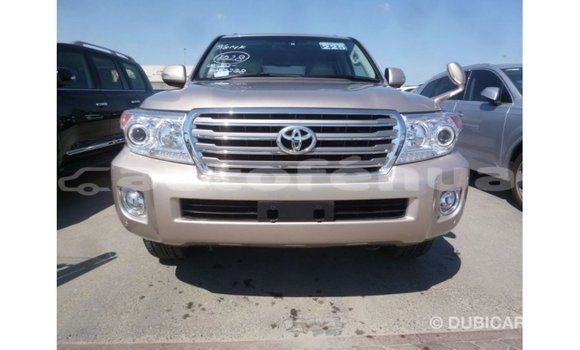 Buy Import Toyota Land Cruiser Other Car in Import - Dubai in Marquesas Buy Import Toyota Land Cruiser Other Car in Import - Dubai in Marquesas