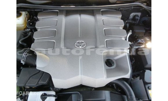 Buy Import Toyota Land Cruiser Other Car in Import - Dubai in Marquesas Buy Import Toyota Land Cruiser Other Car in Import - Dubai in Marquesas