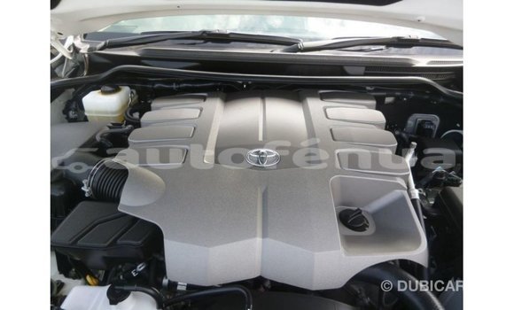 Buy Import Toyota Land Cruiser White Car in Import - Dubai in Marquesas Buy Import Toyota Land Cruiser White Car in Import - Dubai in Marquesas