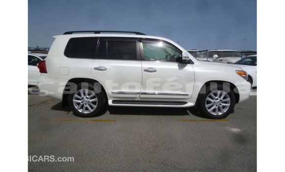 Buy Import Toyota Land Cruiser White Car in Import - Dubai in Marquesas Buy Import Toyota Land Cruiser White Car in Import - Dubai in Marquesas