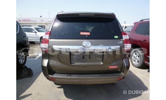 Buy Import Toyota Prado Brown Car in Import - Dubai in Marquesas Buy Import Toyota Prado Brown Car in Import - Dubai in Marquesas