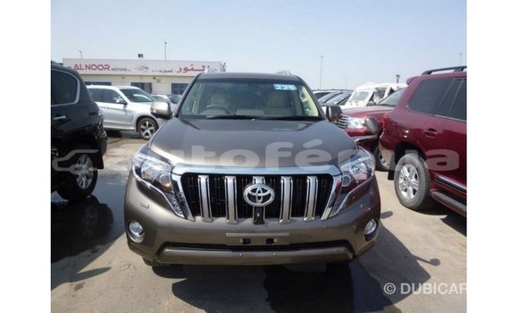 Buy Import Toyota Prado Brown Car in Import - Dubai in Marquesas Buy Import Toyota Prado Brown Car in Import - Dubai in Marquesas