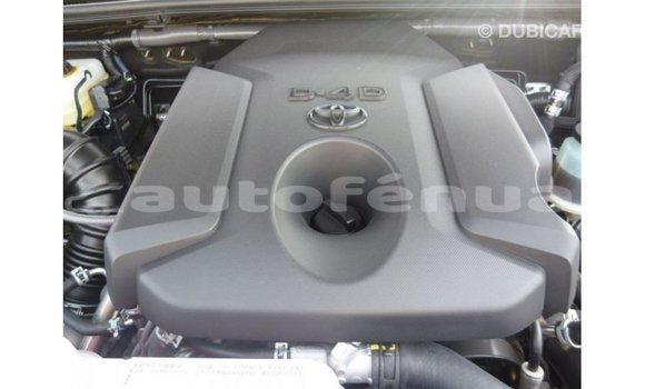 Buy Import Toyota Prado Brown Car in Import - Dubai in Marquesas Buy Import Toyota Prado Brown Car in Import - Dubai in Marquesas
