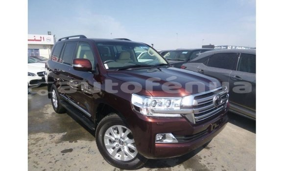 Acheter Import Voiture Toyota Land Cruiser Marron à Import - Dubai, Marquesas