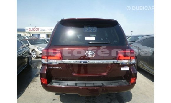 Buy Import Toyota Land Cruiser Brown Car in Import - Dubai in Marquesas Buy Import Toyota Land Cruiser Brown Car in Import - Dubai in Marquesas