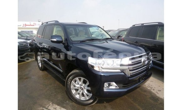 Acheter Import Voiture Toyota Land Cruiser Bleu à Import - Dubai, Marquesas