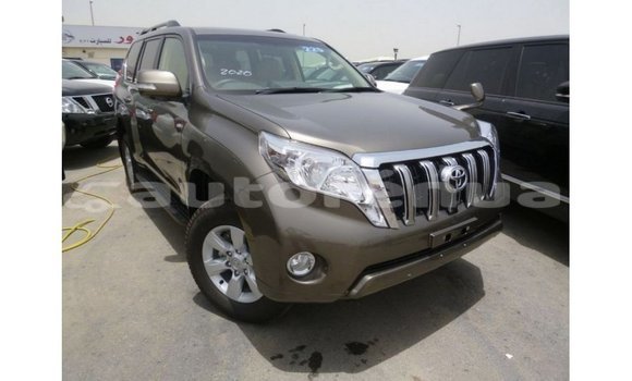 Buy Import Toyota Prado Brown Car in Import - Dubai in Marquesas Buy Import Toyota Prado Brown Car in Import - Dubai in Marquesas