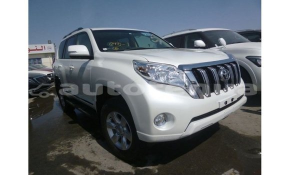 Acheter Import Voiture Toyota Prado Blanc à Import - Dubai, Marquesas