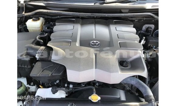 Buy Import Toyota Land Cruiser White Car in Import - Dubai in Marquesas Buy Import Toyota Land Cruiser White Car in Import - Dubai in Marquesas