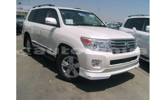 Acheter Import Voiture Toyota Land Cruiser Blanc à Import - Dubai, Marquesas