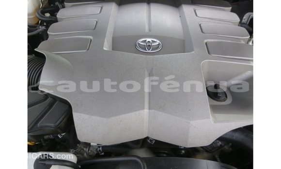 Buy Import Toyota Land Cruiser Black Car in Import - Dubai in Marquesas Buy Import Toyota Land Cruiser Black Car in Import - Dubai in Marquesas