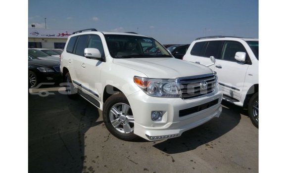 Acheter Import Voiture Toyota Land Cruiser Blanc à Import - Dubai, Marquesas