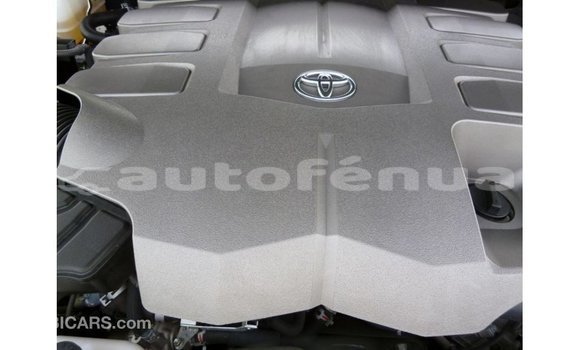 Buy Import Toyota Land Cruiser Black Car in Import - Dubai in Marquesas Buy Import Toyota Land Cruiser Black Car in Import - Dubai in Marquesas