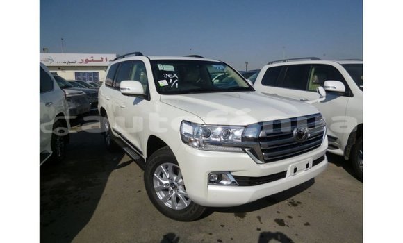 Acheter Import Voiture Toyota Land Cruiser Blanc à Import - Dubai, Marquesas
