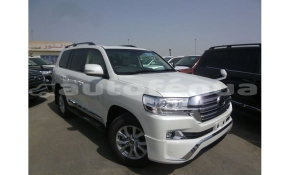 Acheter Import Voiture Toyota Land Cruiser Blanc à Import - Dubai, Marquesas