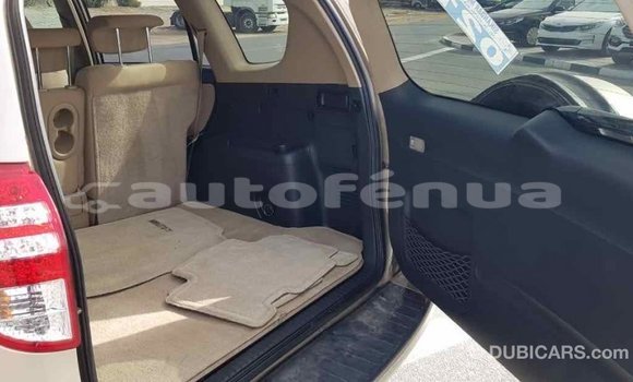 Acheter Import Voiture Toyota RAV4 Autre à Import - Dubai, Marquesas Acheter Import Voiture Toyota RAV4 Autre à Import - Dubai, Marquesas