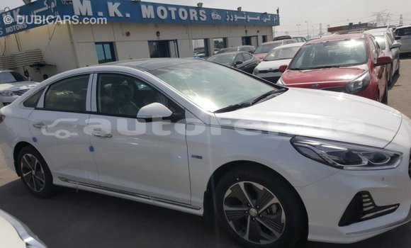 Acheter Import Voiture Hyundai Sonata Blanc à Import - Dubai, Marquesas Acheter Import Voiture Hyundai Sonata Blanc à Import - Dubai, Marquesas