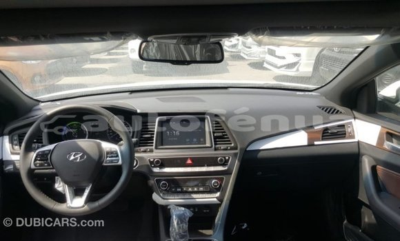 Acheter Import Voiture Hyundai Sonata Blanc à Import - Dubai, Marquesas Acheter Import Voiture Hyundai Sonata Blanc à Import - Dubai, Marquesas