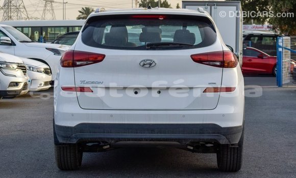 Acheter Import Voiture Hyundai Tucson Blanc à Import - Dubai, Marquesas Acheter Import Voiture Hyundai Tucson Blanc à Import - Dubai, Marquesas