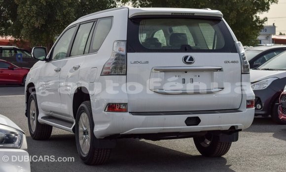 Acheter Import Voiture Lexus GX Blanc à Import - Dubai, Marquesas Acheter Import Voiture Lexus GX Blanc à Import - Dubai, Marquesas