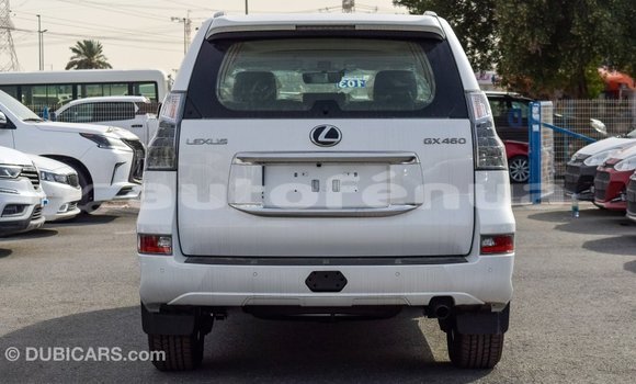 Acheter Import Voiture Lexus GX Blanc à Import - Dubai, Marquesas Acheter Import Voiture Lexus GX Blanc à Import - Dubai, Marquesas