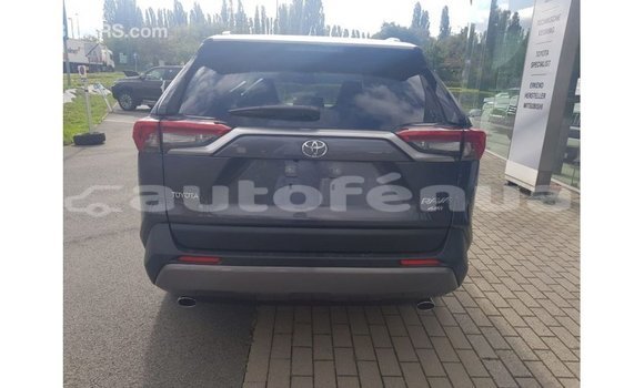 Buy Import Toyota RAV4 Other Car in Import - Dubai in Marquesas Buy Import Toyota RAV4 Other Car in Import - Dubai in Marquesas