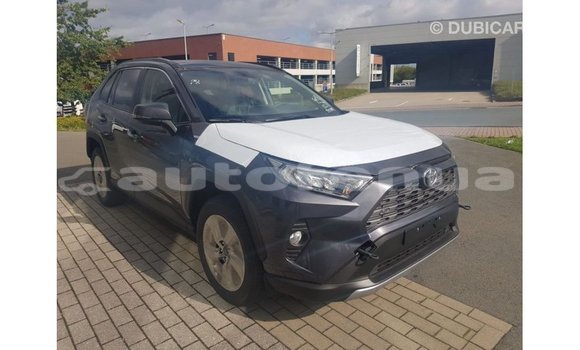 Buy Import Toyota RAV4 Other Car in Import - Dubai in Marquesas Buy Import Toyota RAV4 Other Car in Import - Dubai in Marquesas