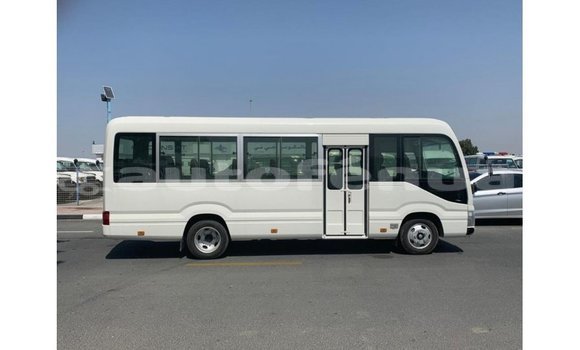 Buy Import Toyota Coaster White Car in Import - Dubai in Marquesas Buy Import Toyota Coaster White Car in Import - Dubai in Marquesas