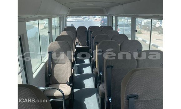 Buy Import Toyota Coaster White Car in Import - Dubai in Marquesas Buy Import Toyota Coaster White Car in Import - Dubai in Marquesas