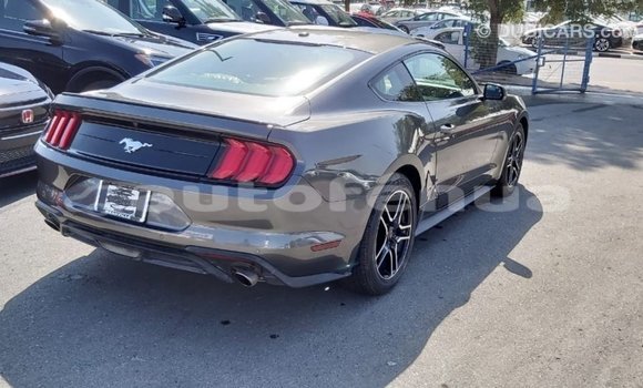 Acheter Import Voiture Ford Mustang Autre à Import - Dubai, Marquesas Acheter Import Voiture Ford Mustang Autre à Import - Dubai, Marquesas
