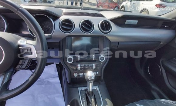 Acheter Import Voiture Ford Mustang Autre à Import - Dubai, Marquesas Acheter Import Voiture Ford Mustang Autre à Import - Dubai, Marquesas