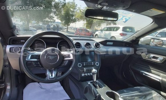 Acheter Import Voiture Ford Mustang Autre à Import - Dubai, Marquesas Acheter Import Voiture Ford Mustang Autre à Import - Dubai, Marquesas