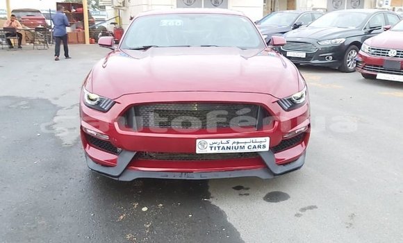 Acheter Import Voiture Ford Mustang Rouge à Import - Dubai, Marquesas Acheter Import Voiture Ford Mustang Rouge à Import - Dubai, Marquesas