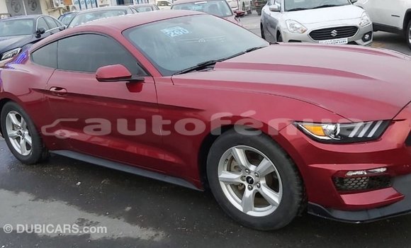 Acheter Import Voiture Ford Mustang Rouge à Import - Dubai, Marquesas Acheter Import Voiture Ford Mustang Rouge à Import - Dubai, Marquesas