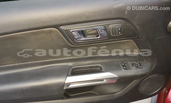 Acheter Import Voiture Ford Mustang Rouge à Import - Dubai, Marquesas Acheter Import Voiture Ford Mustang Rouge à Import - Dubai, Marquesas