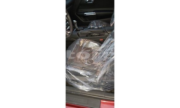 Acheter Import Voiture Ford Mustang Rouge à Import - Dubai, Marquesas Acheter Import Voiture Ford Mustang Rouge à Import - Dubai, Marquesas