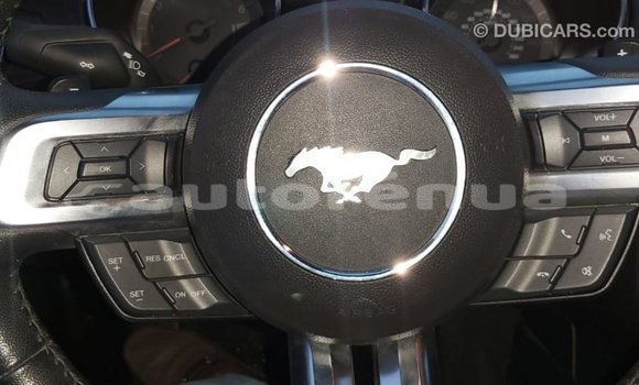 Acheter Import Voiture Ford Mustang Rouge à Import - Dubai, Marquesas Acheter Import Voiture Ford Mustang Rouge à Import - Dubai, Marquesas